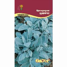 ЦИНЕРАРИЯ ЦИРРУС 0,05 Г флос