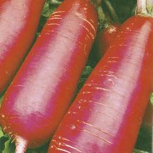 РЕДИС КРАСНЫЙ ВЕЛИКАН 1,5 Г Ч/Б флос