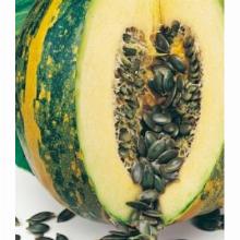 ТЫКВА ЦЕЛЕБНАЯ ГОЛОСЕМЯННАЯ 6 ШТ биотехника