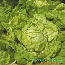 САЛАТ КОЧАННЫЙ КОРОЛЬ РЫНКА 2,0 Г нк