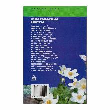 Нажмите чтобы увеличить изображение