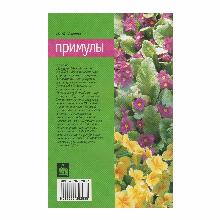 Нажмите чтобы увеличить изображение