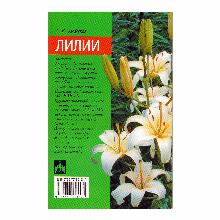 Нажмите чтобы увеличить изображение