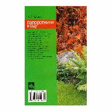 Нажмите чтобы увеличить изображение