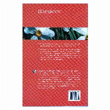 Нажмите чтобы увеличить изображение