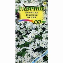 НЕЗАБУДКА АЛЬПИЙСКАЯ БЕЛАЯ 0,03 Г гавриш