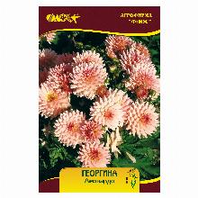 ГЕОРГИНА ГЭЛЛЕРИ ЛЕОНАРДО карточка