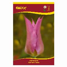 ТЮЛЬПАН ЛАЙЛЭК ТАЙМ 5шт-карточка