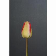 Нажмите чтобы увеличить изображение