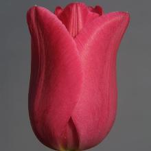 Нажмите чтобы увеличить изображение