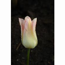 Нажмите чтобы увеличить изображение