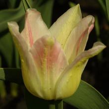 Нажмите чтобы увеличить изображение