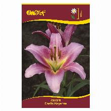 ЛИЛИЯ СПЕЙС МАУНТИН ОТ-ГИБРИД 2шт-карточка