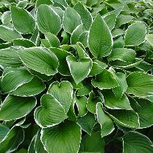 Нажмите чтобы увеличить изображение