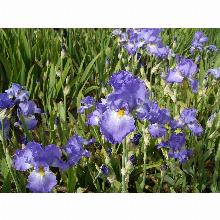 Нажмите чтобы увеличить изображение