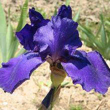 Нажмите чтобы увеличить изображение