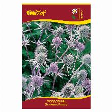 МОРДОВНИК ЭХИНОПС РИТРО карточка