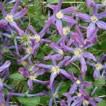 Нажмите чтобы увеличить изображение