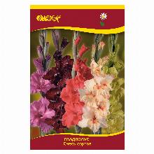 ГЛАДИОЛУС СМЕСЬ 3шт-карточка