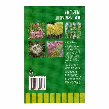 Нажмите чтобы увеличить изображение