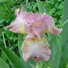 Нажмите чтобы увеличить изображение