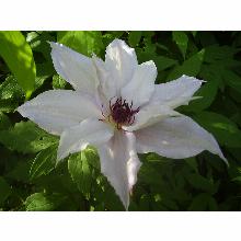 Нажмите чтобы увеличить изображение