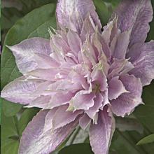 Нажмите чтобы увеличить изображение