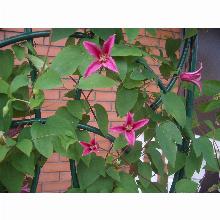 Нажмите чтобы увеличить изображение