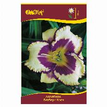 ЛИЛЕЙНИК БЛУБЕРИ КРЕМ карточка