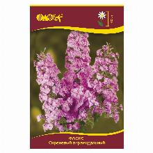 ФЛОКС СИРЕНЕВЫЙ ПИРАМИДАЛЬНЫЙ карточка