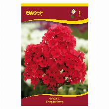 ФЛОКС СТАРФАЙЕР карточка