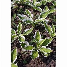 Нажмите чтобы увеличить изображение