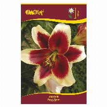 ЛИЛИЯ РЕД ДАТЧ ОТ-ГИБРИД 2шт-карточка