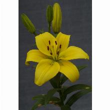 Нажмите чтобы увеличить изображение