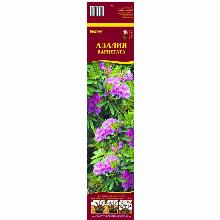 Нажмите чтобы увеличить изображение