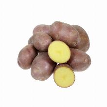 КАРТОФЕЛЬ СЕМЕННОЙ РЕД СКАРЛЕТ 10шт