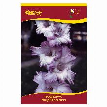 ГЛАДИОЛУС МОДРИ ПРОГРАММ 3шт-карточка