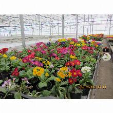 Нажмите чтобы увеличить изображение