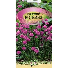 ЛУК ШНИТТ БОГЕМИЯ 0,5 Г гавриш