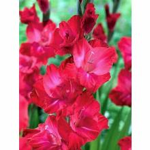 Нажмите чтобы увеличить изображение