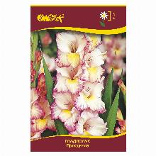 ГЛАДИОЛУС ПРИСЦИЛЛА  3шт-карточка