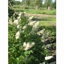 Нажмите чтобы увеличить изображение