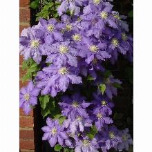 Нажмите чтобы увеличить изображение