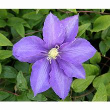 Нажмите чтобы увеличить изображение