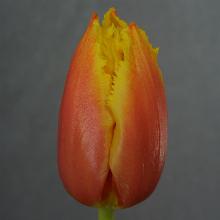 Нажмите чтобы увеличить изображение