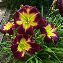 Нажмите чтобы увеличить изображение