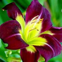 Нажмите чтобы увеличить изображение