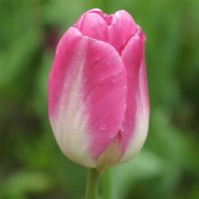 Нажмите чтобы увеличить изображение