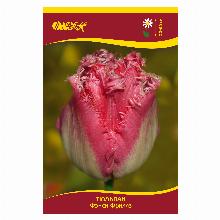 ТЮЛЬПАН ФЭНСИ ФРИЛЛЗ 5шт-карточка