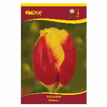 ТЮЛЬПАН ФЭЛКОН 5шт-карточка